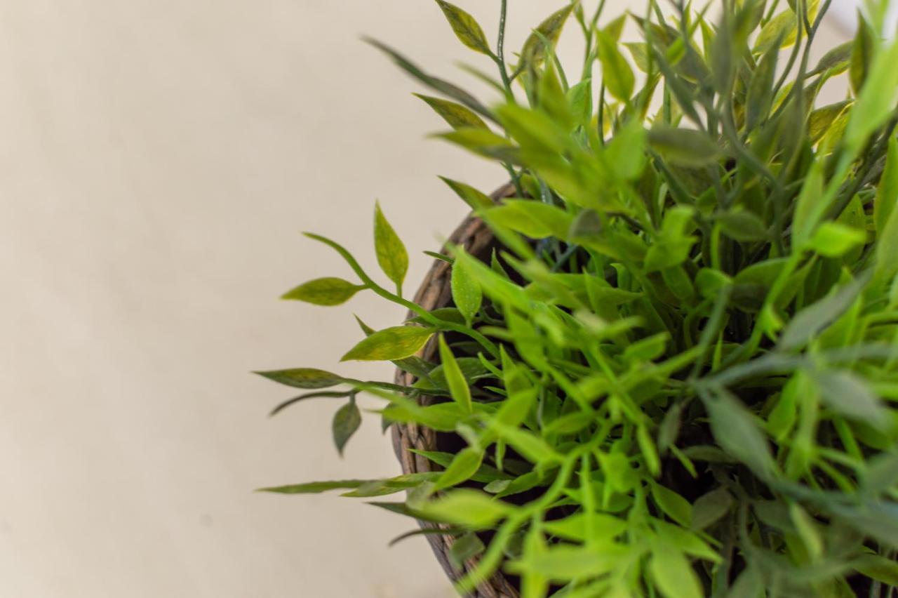 Casetta Tuscany Balcony: Crete Senesi מראה חיצוני תמונה